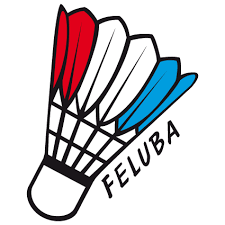 Logo Feluba